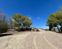 Revente - Finca / Propriété de campagne - Torremendo