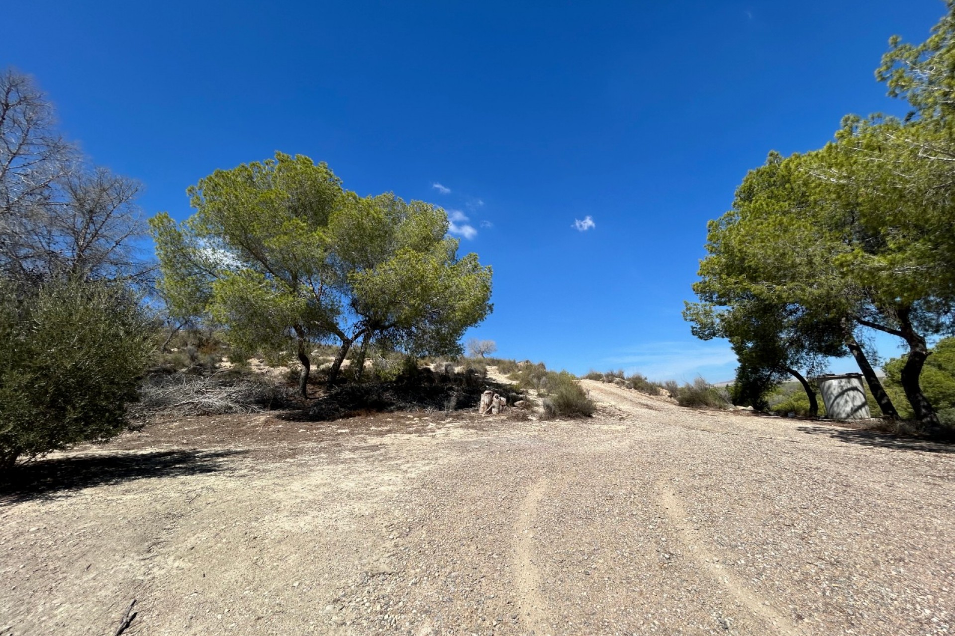 Revente - Finca / Propriété de campagne - Torremendo