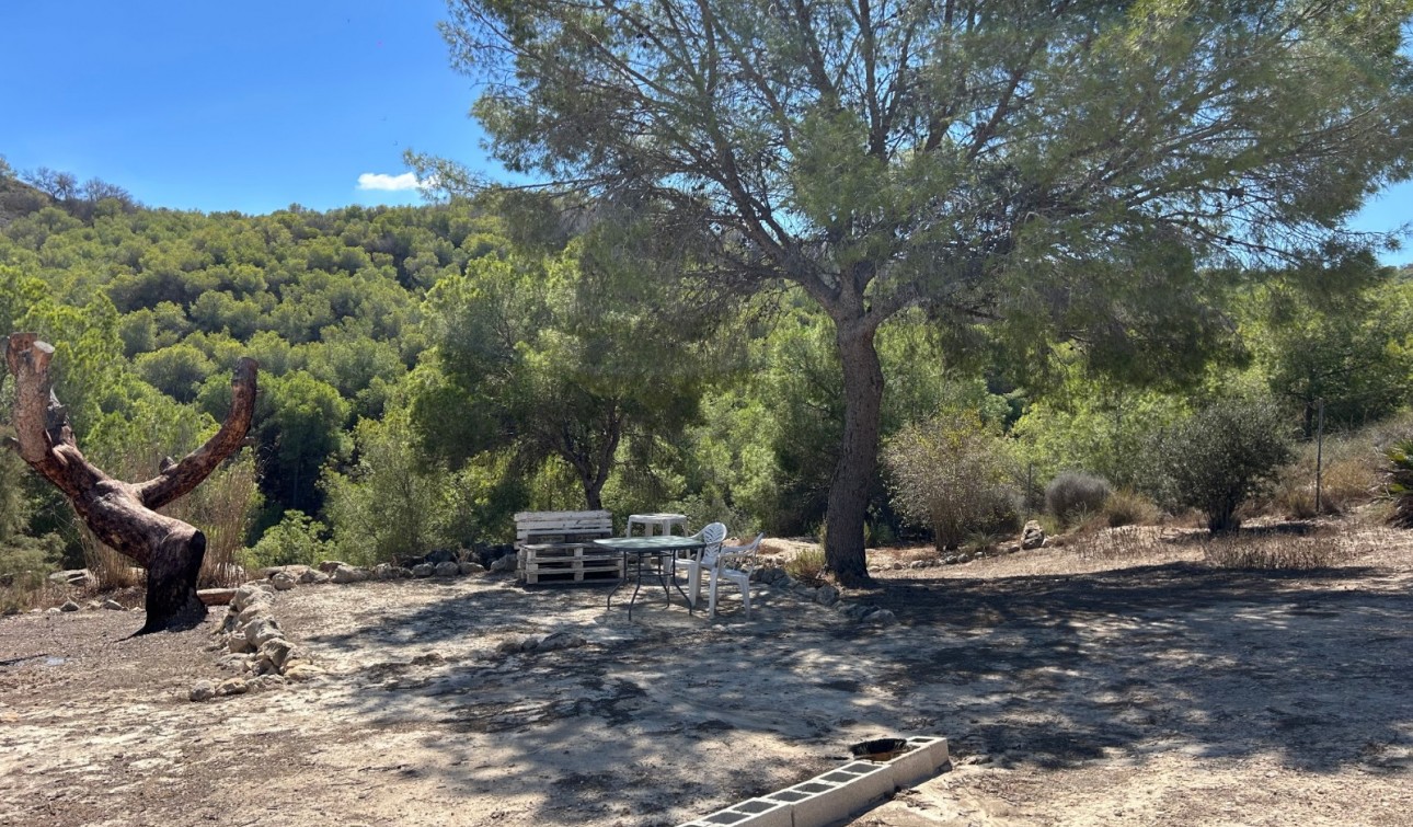 Revente - Finca / Propriété de campagne - Torremendo
