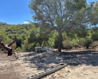 Revente - Finca / Propriété de campagne - Torremendo