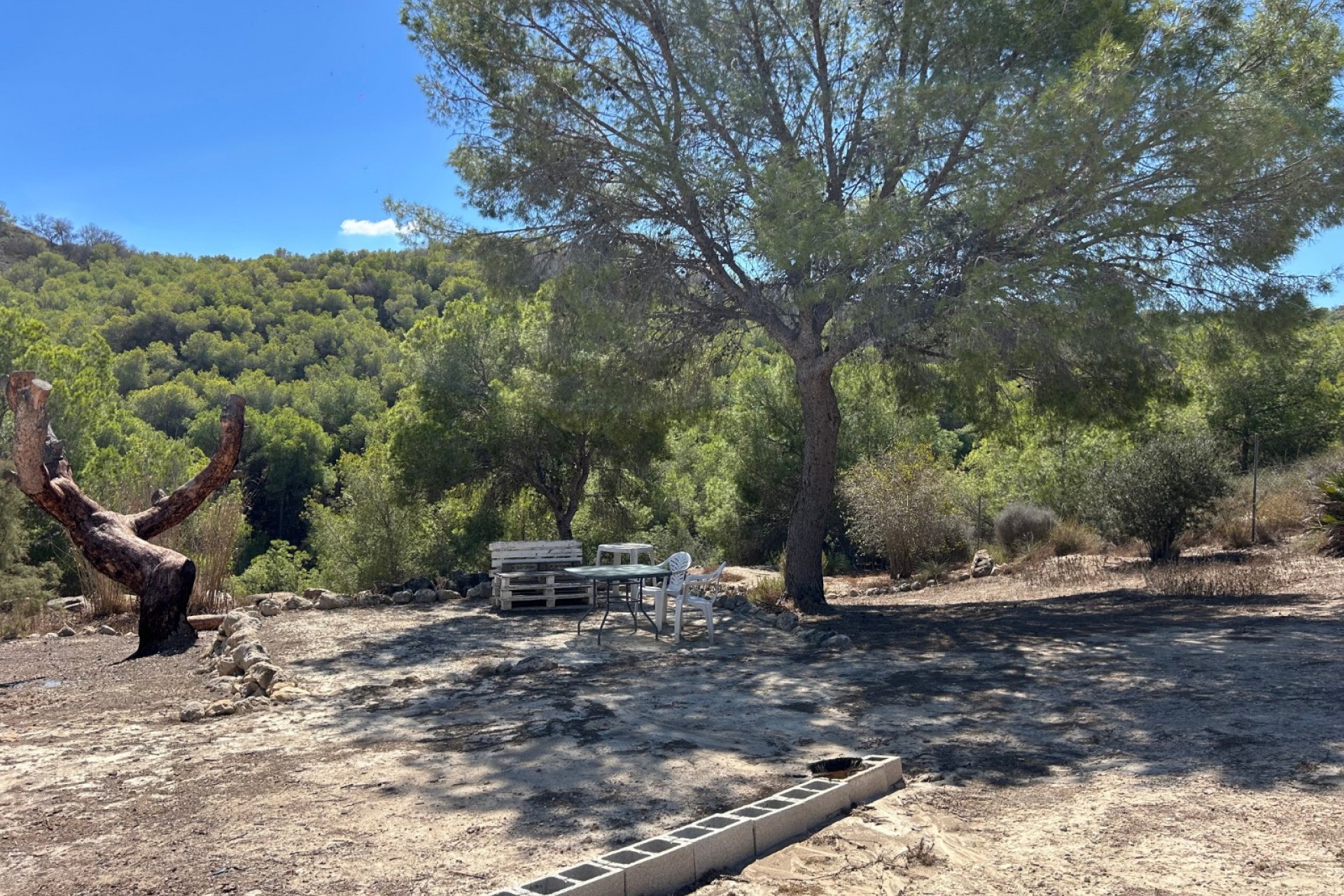 Revente - Finca / Propriété de campagne - Torremendo