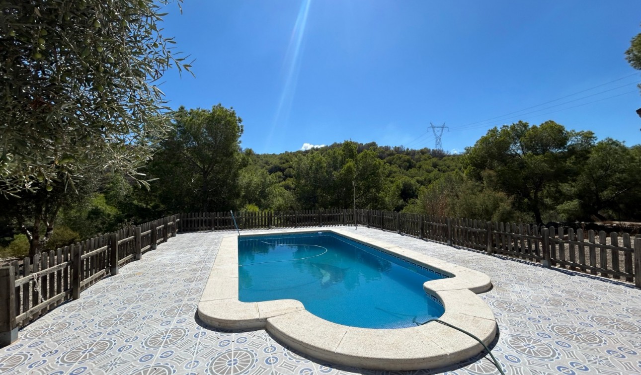 Revente - Finca / Propriété de campagne - Torremendo