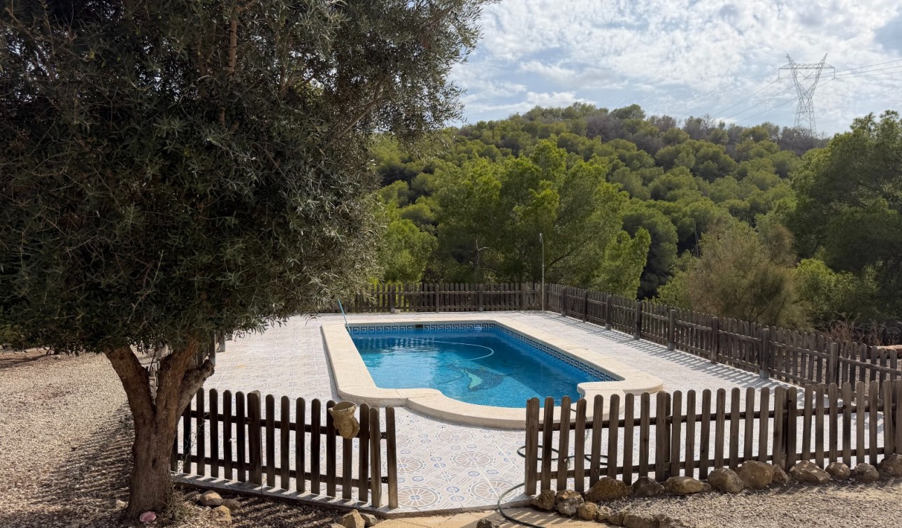 Revente - Finca / Propriété de campagne - Torremendo