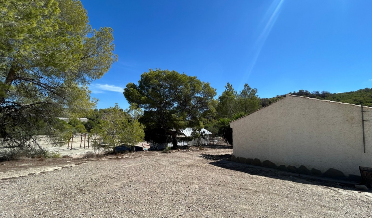 Revente - Finca / Propriété de campagne - Torremendo