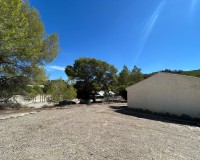 Revente - Finca / Propriété de campagne - Torremendo