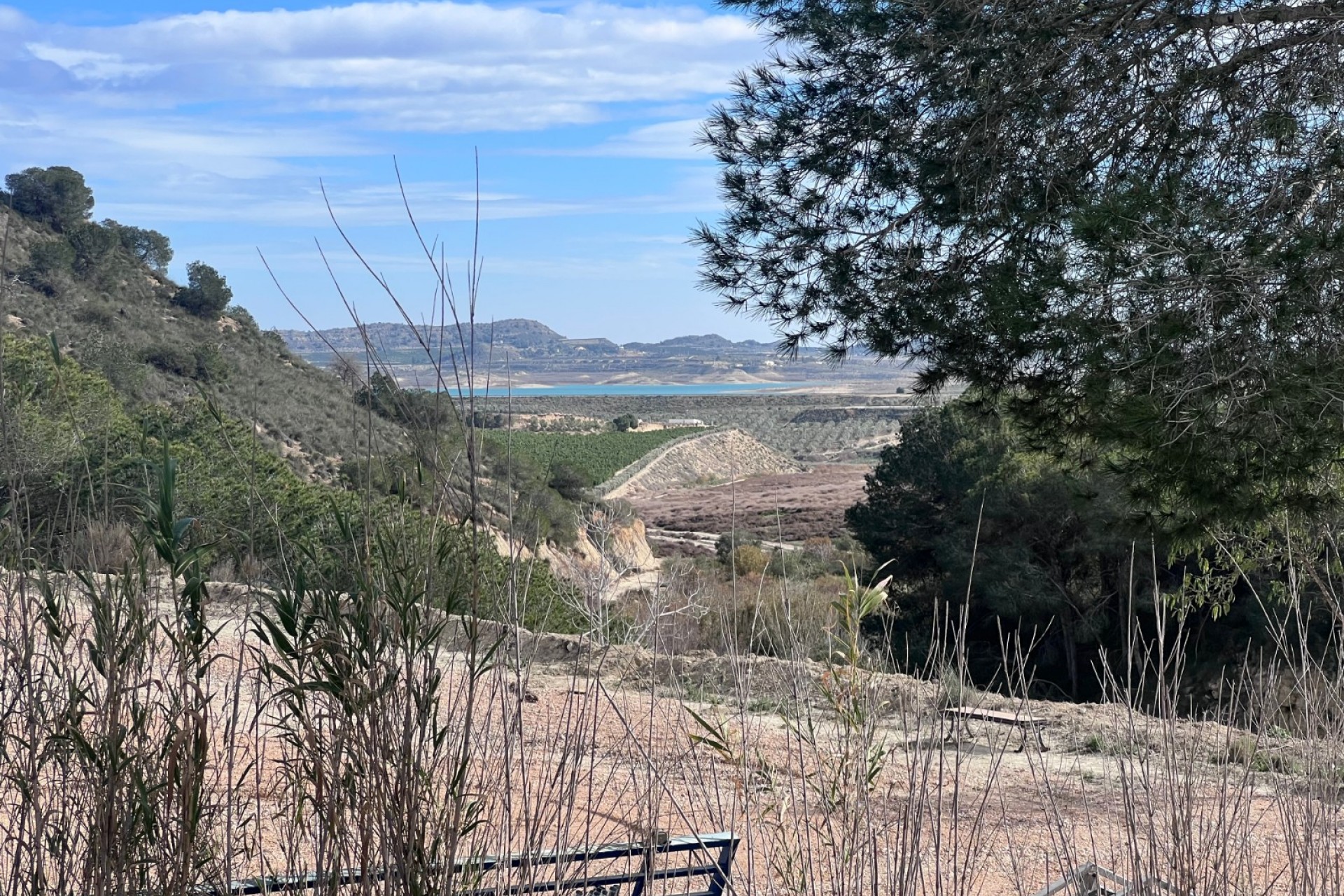 Revente - Finca / Propriété de campagne - Torremendo