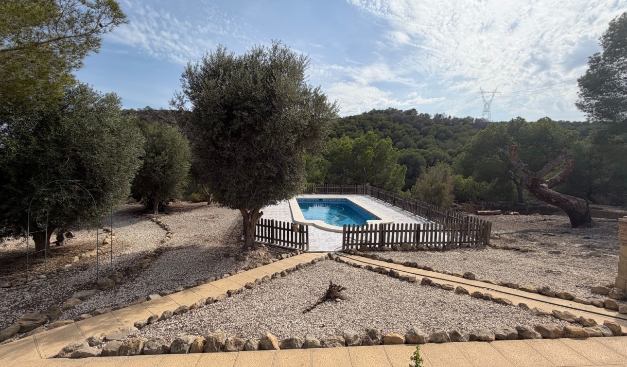 Revente - Finca / Propriété de campagne - Torremendo