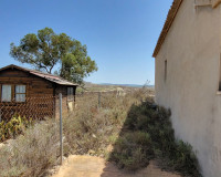 Revente - Finca / Propriété de campagne - Torremendo