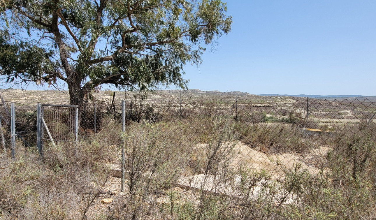 Revente - Finca / Propriété de campagne - Torremendo