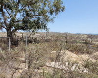 Revente - Finca / Propriété de campagne - Torremendo