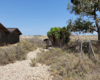 Revente - Finca / Propriété de campagne - Torremendo