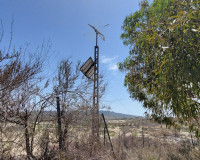 Revente - Finca / Propriété de campagne - Torremendo