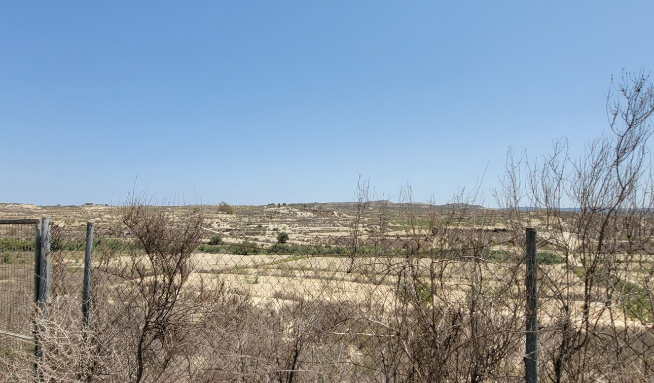 Revente - Finca / Propriété de campagne - Torremendo