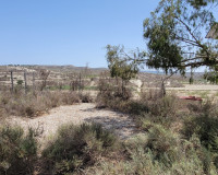 Revente - Finca / Propriété de campagne - Torremendo