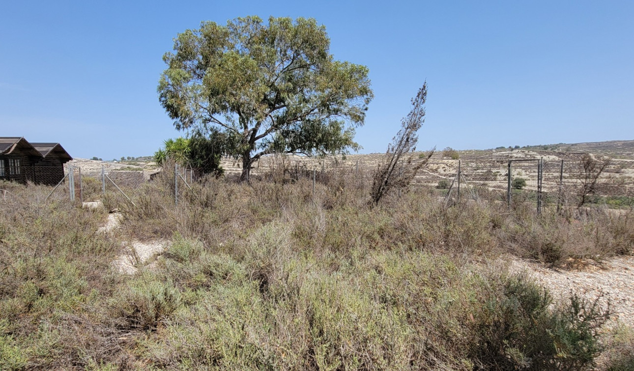 Revente - Finca / Propriété de campagne - Torremendo