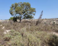 Revente - Finca / Propriété de campagne - Torremendo