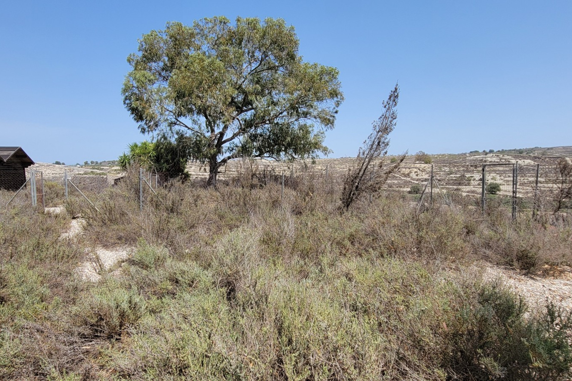 Revente - Finca / Propriété de campagne - Torremendo