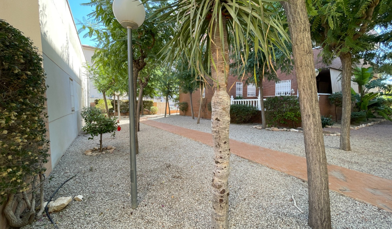 Revente - Maison de ville - Elche - Center