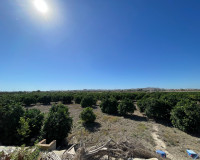 Revente - Maison de ville - San Fulgencio - Center