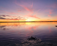 Revente - Maison de ville - Torrevieja - El Chaparral