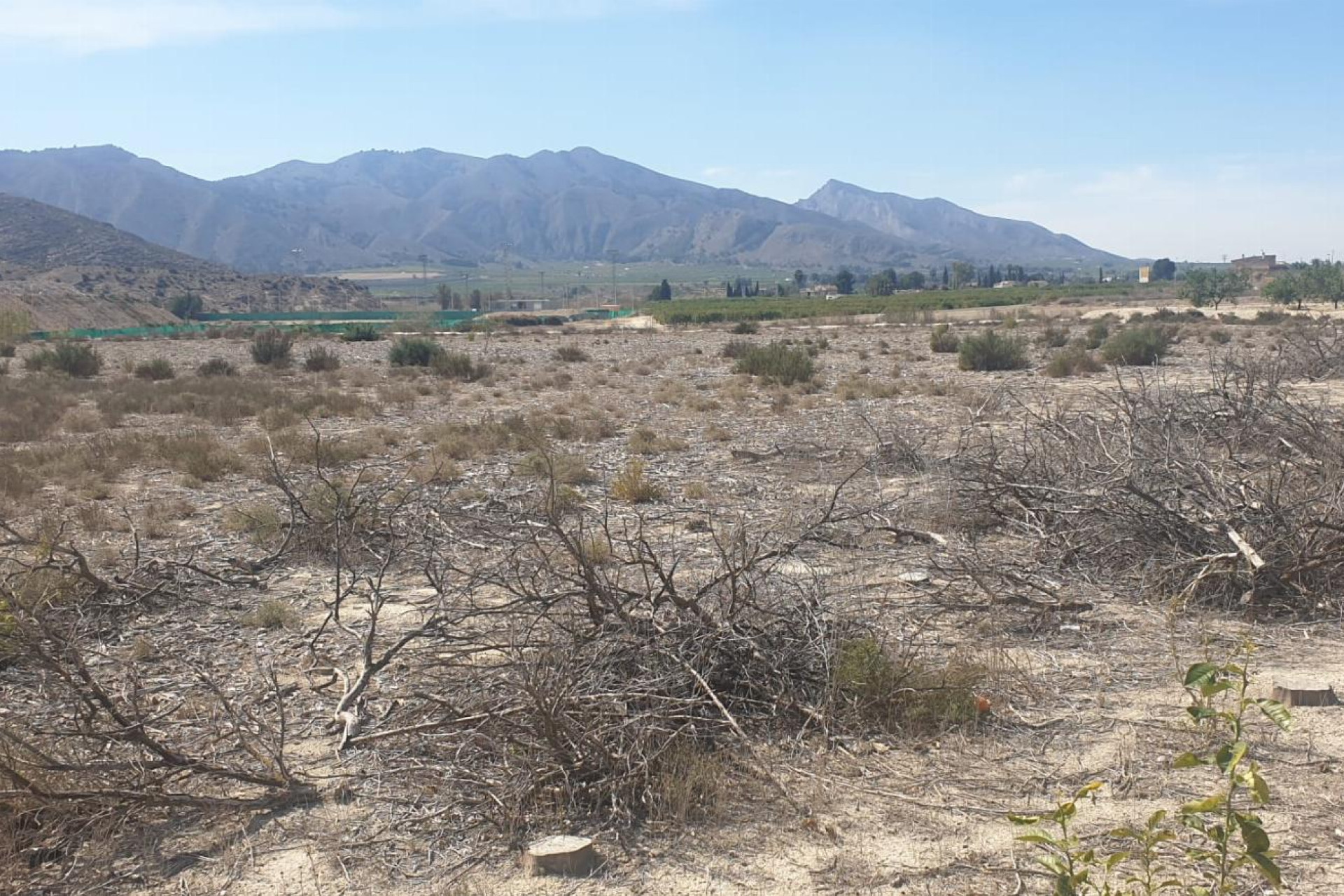 Revente - Parcelle / Terrain - Benferri - HUERTA PUEBLO
