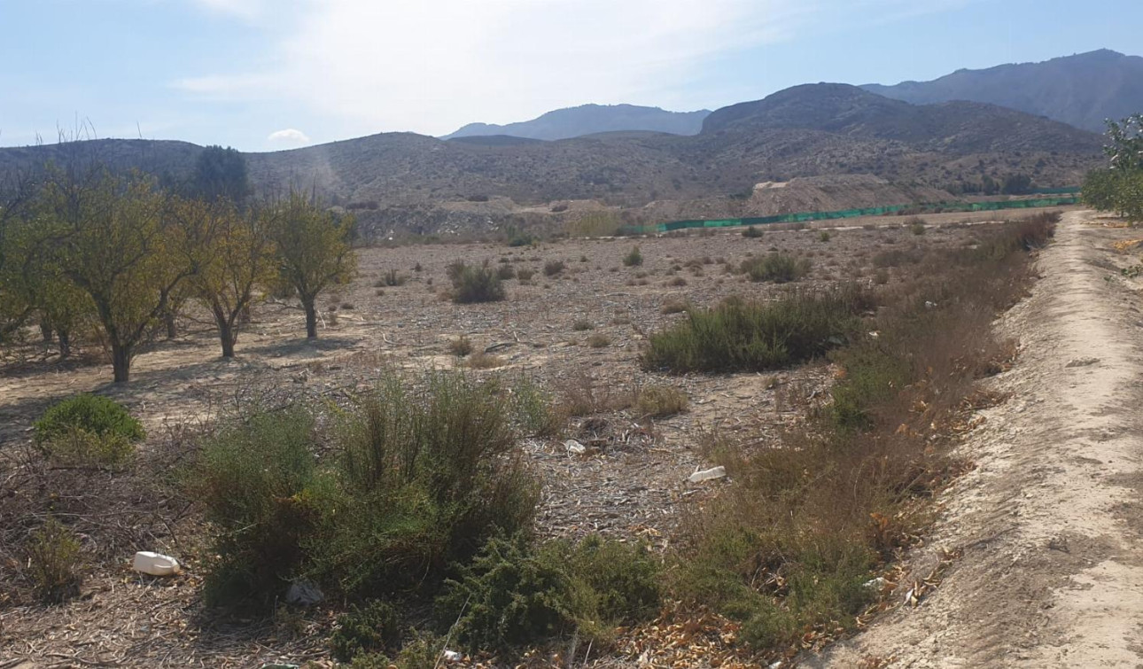 Revente - Parcelle / Terrain - Benferri - HUERTA PUEBLO