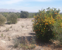 Revente - Parcelle / Terrain - Benferri - HUERTA PUEBLO
