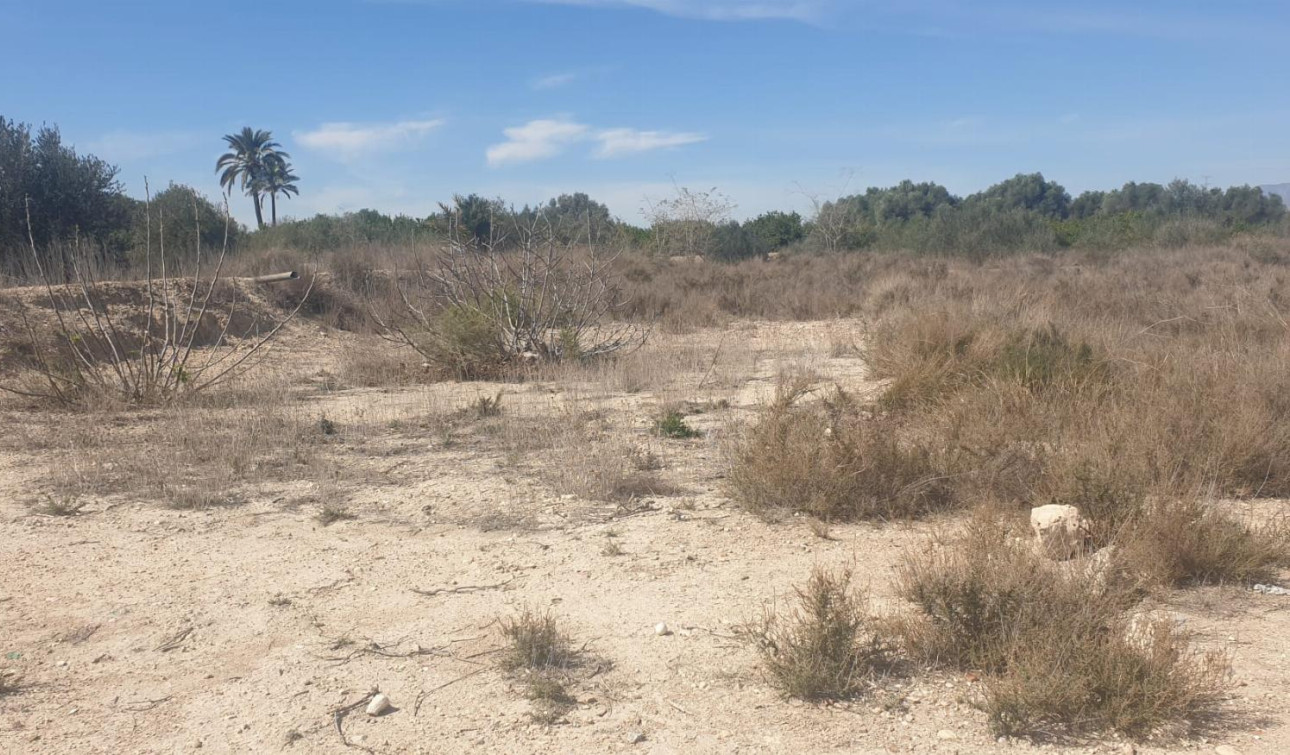 Revente - Parcelle / Terrain - Benferri - HUERTA PUEBLO