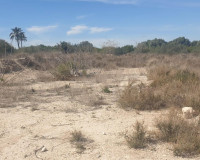 Revente - Parcelle / Terrain - Benferri - HUERTA PUEBLO