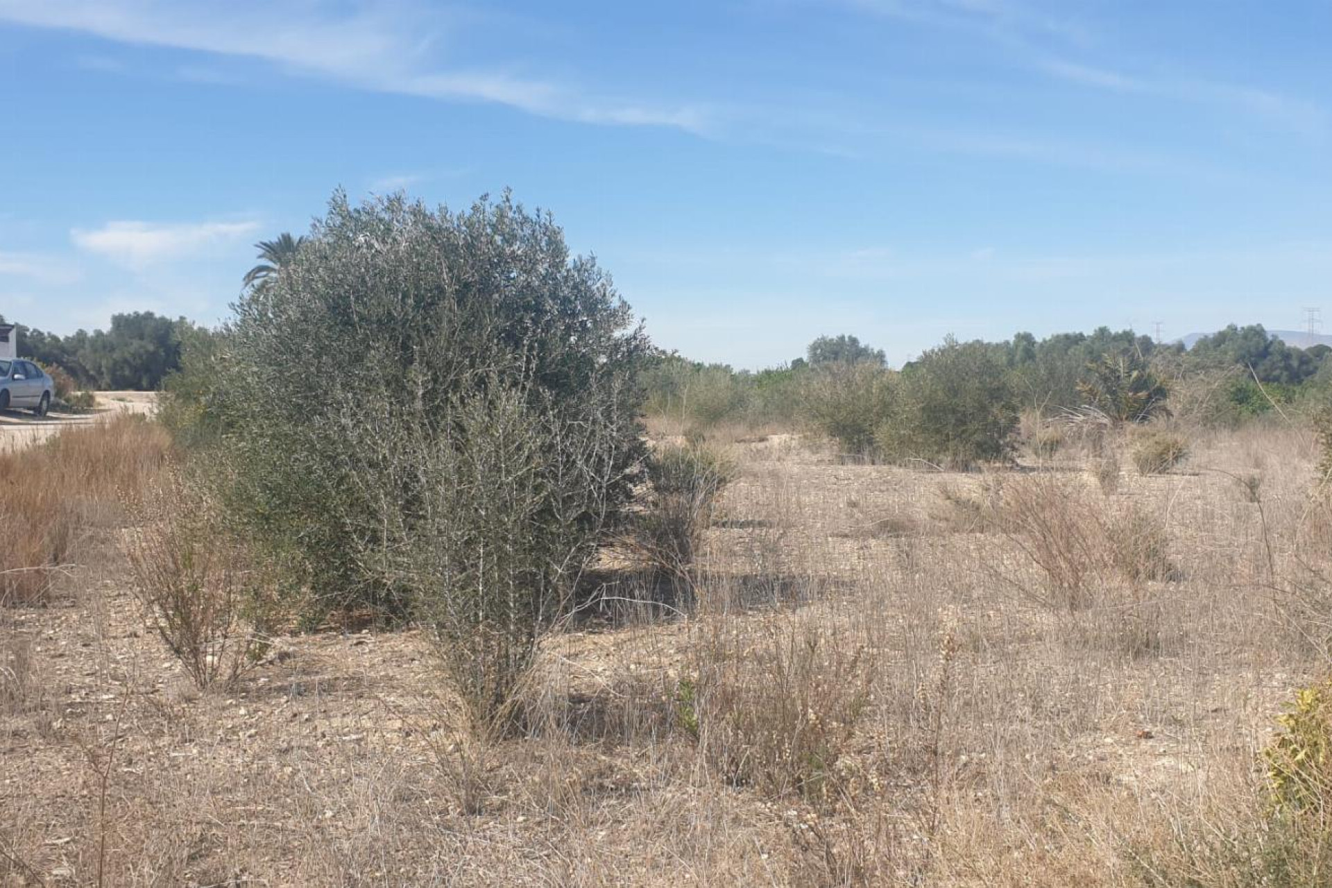 Revente - Parcelle / Terrain - Benferri - HUERTA PUEBLO