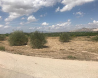 Revente - Parcelle / Terrain - Benferri - HUERTA PUEBLO