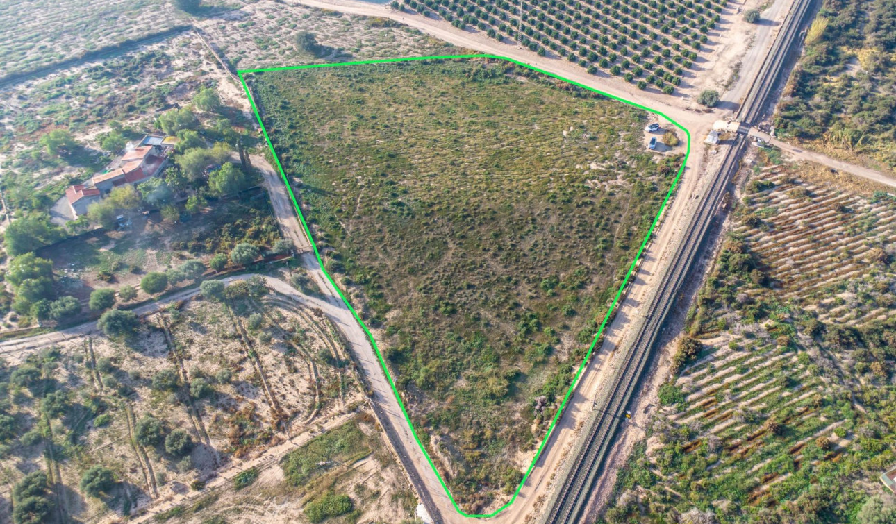 Revente - Parcelle / Terrain - Crevillente - Comunidad valenciana