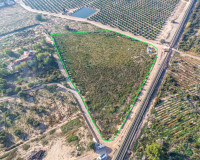 Revente - Parcelle / Terrain - Crevillente - Comunidad valenciana