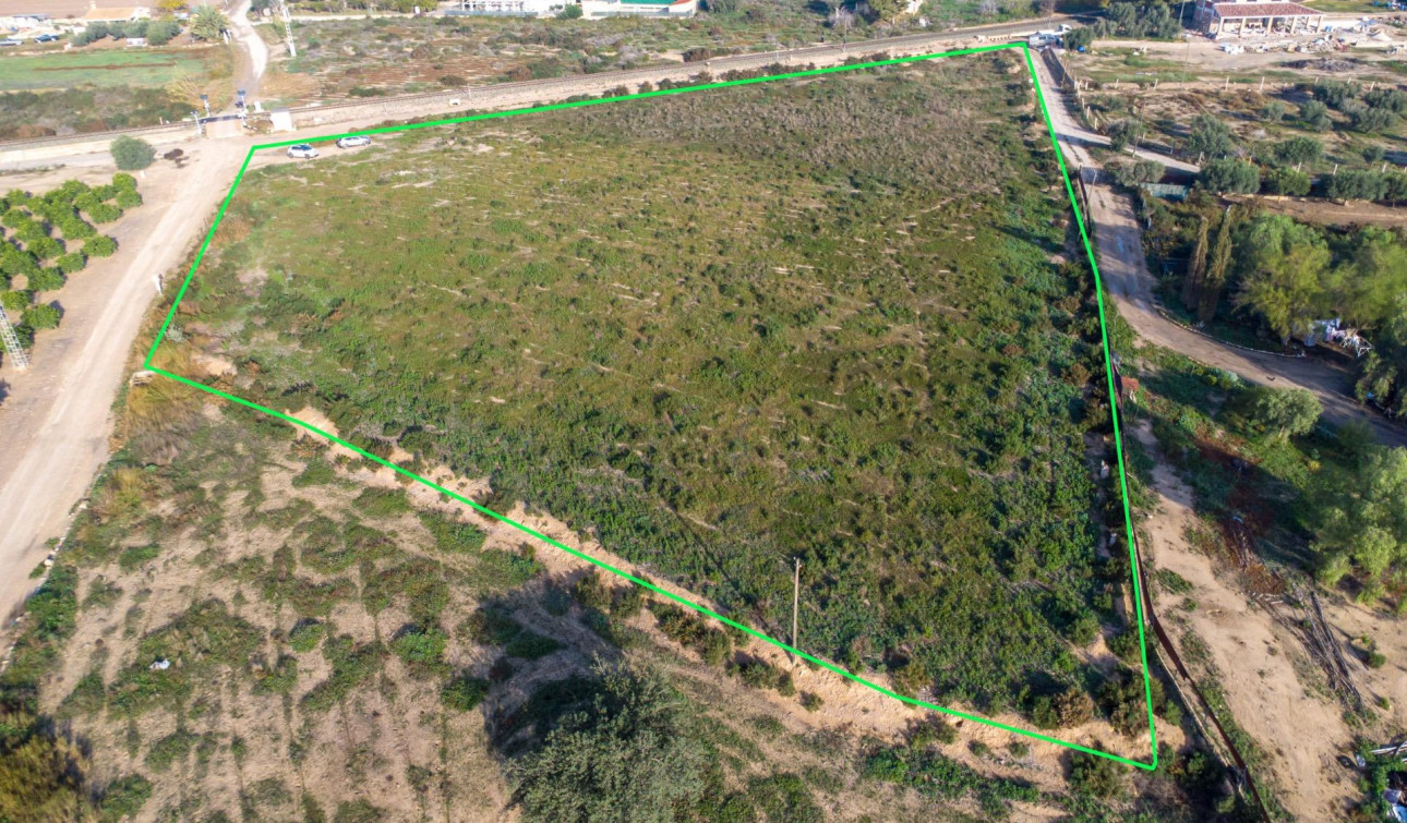 Revente - Parcelle / Terrain - Crevillente - Comunidad valenciana