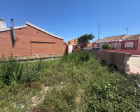 Revente - Parcelle / Terrain - Daya Nueva