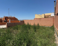 Revente - Parcelle / Terrain - Daya Nueva