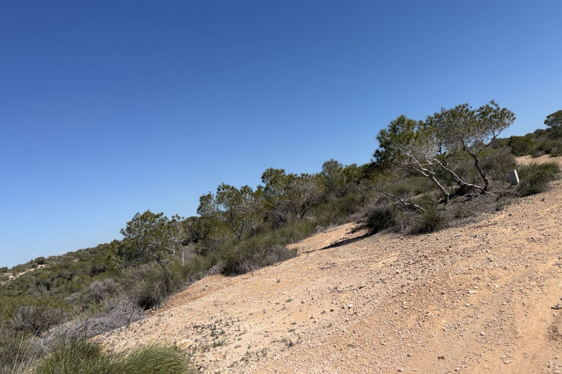 Revente - Parcelle / Terrain - San Fulgencio - La Marina