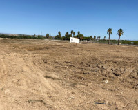 Revente - Parcelle / Terrain - San Miguel de Salinas - San Miguel Salinas