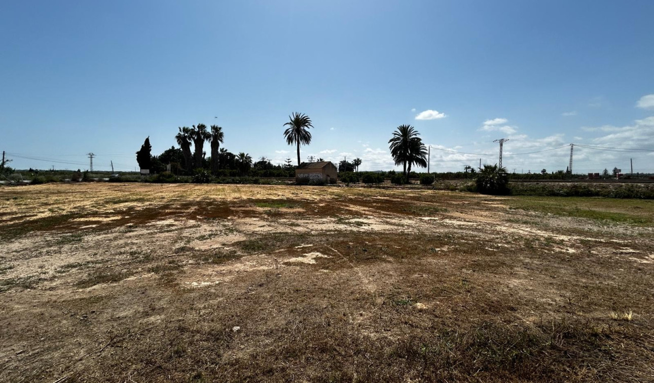 Revente - Parcelle / Terrain - San Miguel de Salinas - San Miguel Salinas