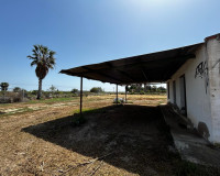 Revente - Parcelle / Terrain - San Miguel de Salinas - San Miguel Salinas