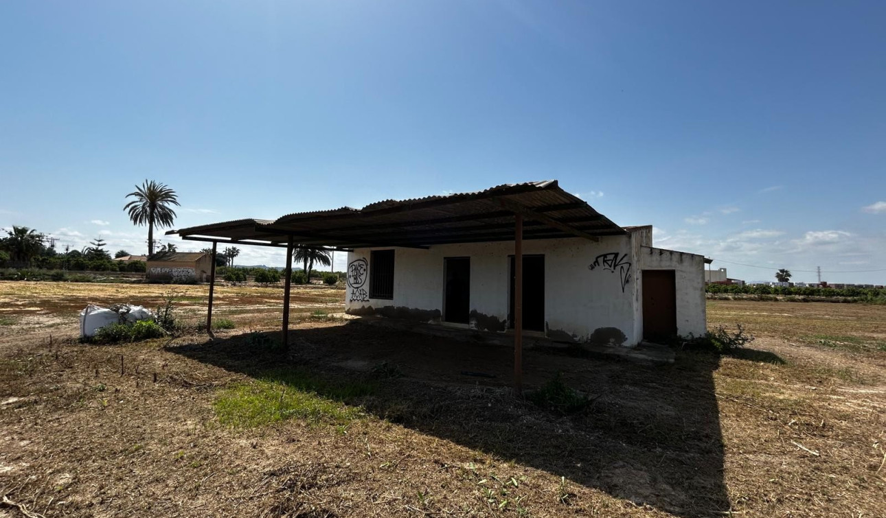 Revente - Parcelle / Terrain - San Miguel de Salinas - San Miguel Salinas