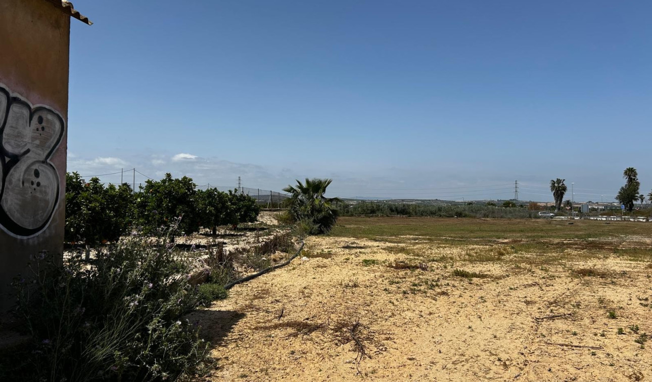 Revente - Parcelle / Terrain - San Miguel de Salinas - San Miguel Salinas