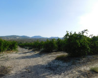 Revente - Parcelle / Terrain - Torremendo