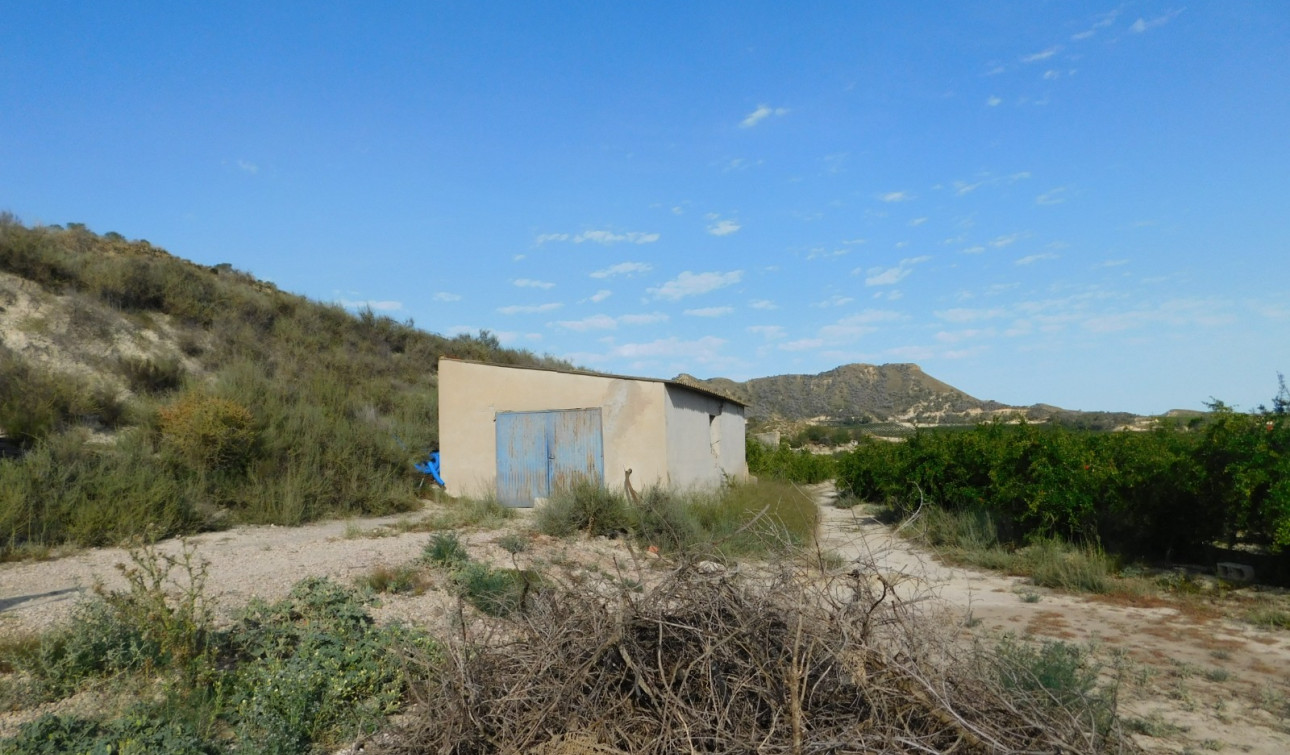 Revente - Parcelle / Terrain - Torremendo