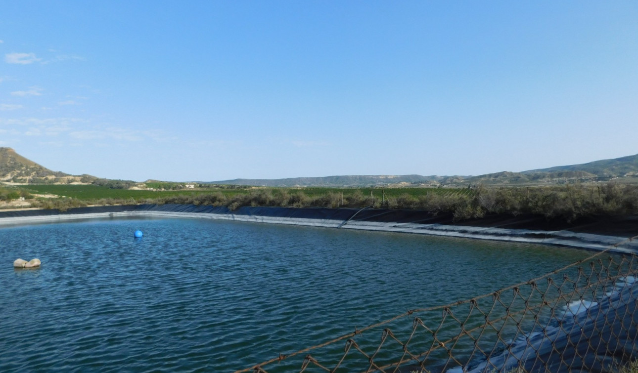 Revente - Parcelle / Terrain - Torremendo