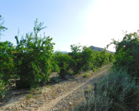 Revente - Parcelle / Terrain - Torremendo