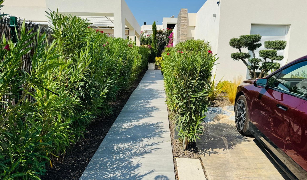 Revente - Villa Individuelle - Algorfa - La Finca Golf