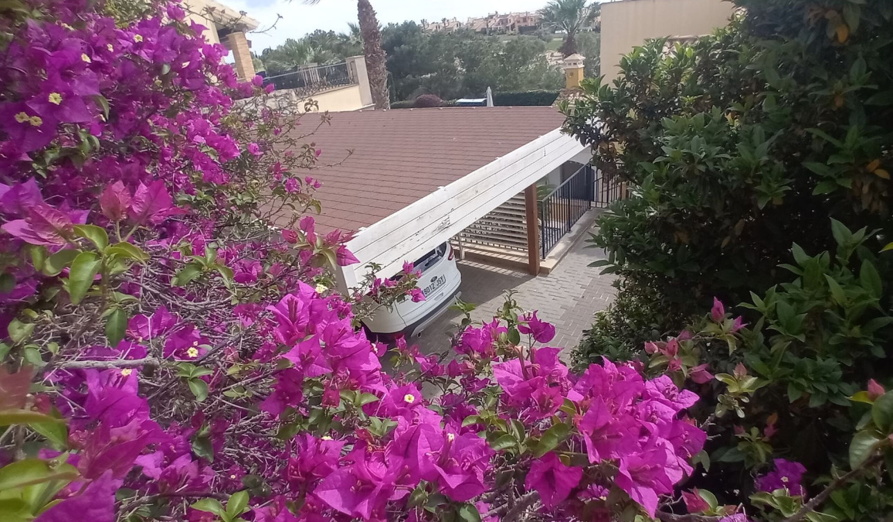 Revente - Villa Individuelle - Algorfa - La Finca Golf