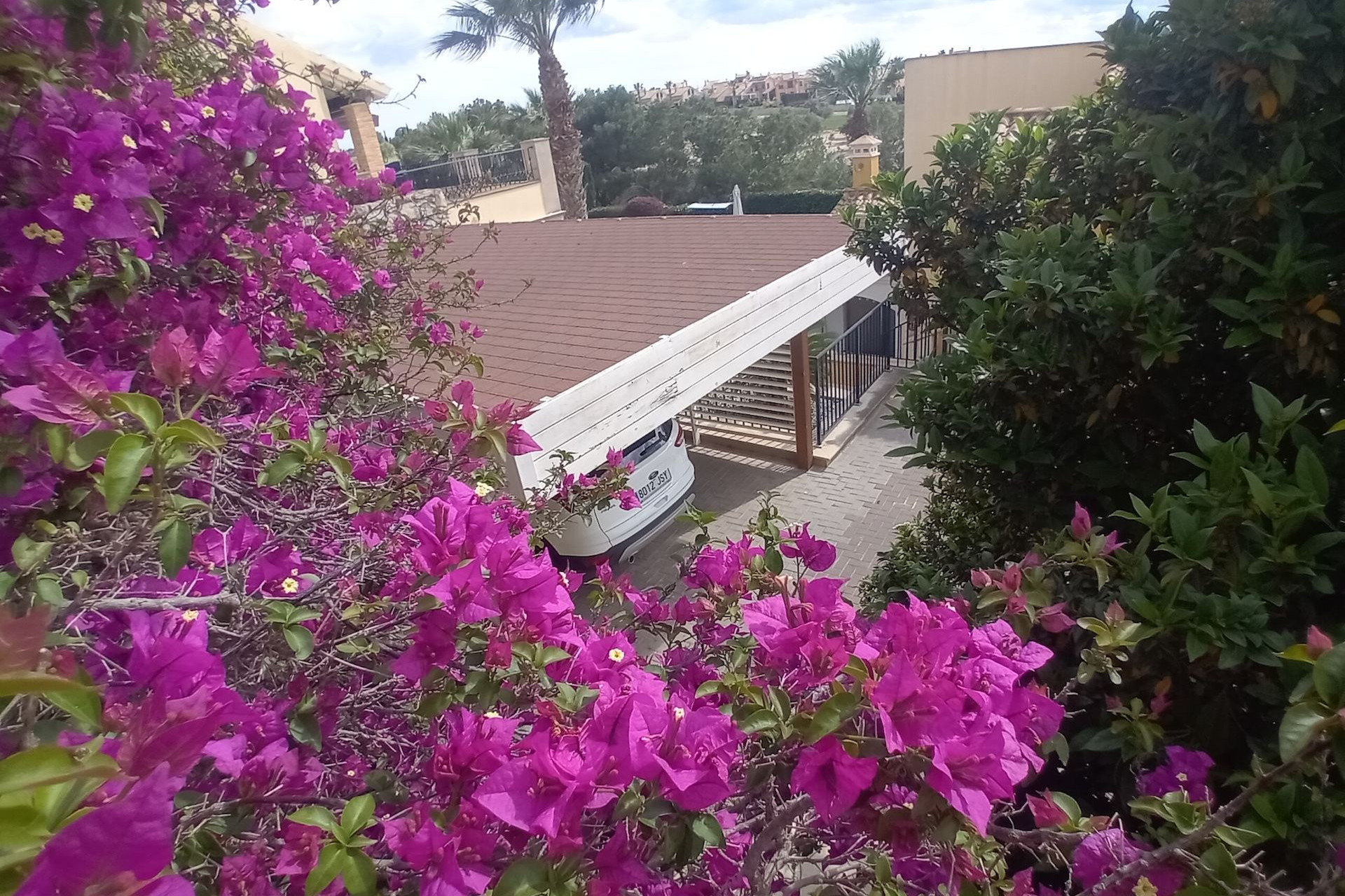 Revente - Villa Individuelle - Algorfa - La Finca Golf