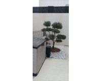 Revente - Villa Individuelle - Algorfa - La Finca Golf